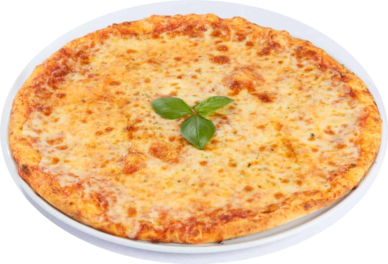 Pizza Margherita
